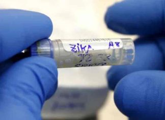 സ്വകാര്യ ആശുപത്രിയിലെ ഡോക്ടർക്ക് സിക വൈറസ് One more Zika-Virus case