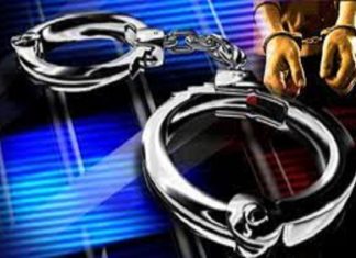 പുള്ളിമാനിനെ വേട്ടയാടി കടത്തിയ സംഭവം; സംഘത്തിലെ ഒരാൾ പിടിയിൽ wayanad hunting case