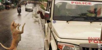 ഈ ചിത്രത്തിന് അടിക്കുറിപ്പ് വേണം; രസകരമായാൽ സമ്മാനം Spotlight