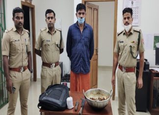 വയനാട്ടിൽ വന്യമൃഗ വേട്ട നടത്തിയ രണ്ട് പേർ പിടിയിൽ poachers arrested in wayanad