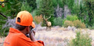 നെല്ലിയാമ്പതി മാൻ വേട്ട; സംഘത്തിൽ ഉൾപ്പെട്ട പോലീസുകാരനായി അന്വേഷണം Nelliyambathy Deer Hunting