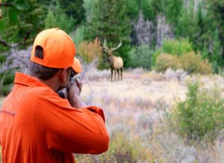 Nelliyambathy Deer Hunting