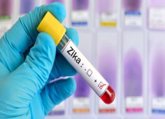 3 പേർക്ക് കൂടി സിക; സംസ്ഥാനത്ത് രോഗബാധിതർ 18 ആയി Zika Virus