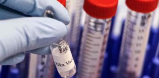 Zika-Virus-Test kit Arrived