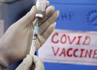 പാലക്കാട് ജില്ലയിൽ 10 ലക്ഷം പേർക്ക് വാക്സിൻ നൽകി; കോവിഡ് പ്രതിരോധം ശക്തിപ്പെടുത്തും Covid vaccination palakkad