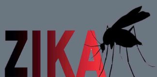 One more Zika case in Kerala
