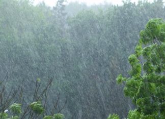 Chance of heavy Rain in the State