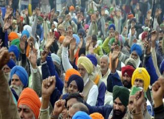 Farmers suicide