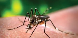 Zika Virus-kerala