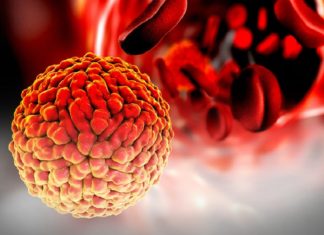 Zika-Virus-central team will arrive in Kerala today