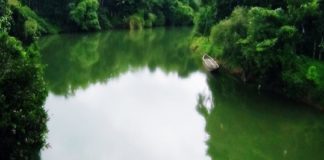 ഇരുവഞ്ഞി പുഴയിൽ ഇനി തെളിനീരൊഴുകും; മെഗാ ശുചീകരണ യജ്ഞം 11ന് Iruvanji River campaign