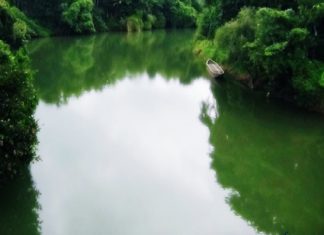 เดเดฐเตเดตเดเตเดเดฟ เดชเตเดดเดฏเดฟเตฝ เดเดจเดฟ เดคเตเดณเดฟเดจเตเดฐเตเดดเตเดเตเด; เดฎเตเดเดพ เดถเตเดเตเดเดฐเดฃ เดฏเดเตโเดเด 11เดจเตโ Iruvanji River campaign