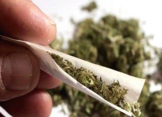 เดชเตเดฐเดฟเดเตเดเตเดฐเดฟเดฏเดฟเตฝ เดเดเตเดเดฐ เดเดฟเดฒเต เดเดเตเดเดพเดตเต เดเดฃเตเดเตเดเตเดคเตเดคเต gunja case malappuram