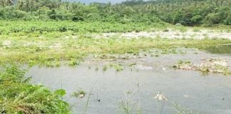 kakkuva river bridge issue