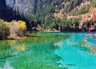 നിറങ്ങൾ മാറിമാറി അണിയുന്ന ജിയുഷെയ്ഗോ; അൽഭുതമായി ഒരു തടാകം jiuzhaigou river-china