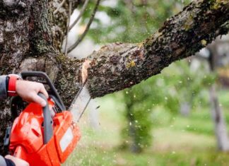 tree cutting MALAPPURAM