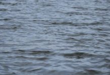 drowned to death-KOZHIKODE