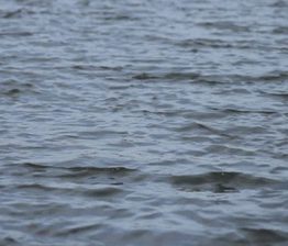 drowned to death-KOZHIKODE