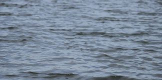 drowned to death-KOZHIKODE