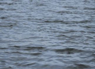 drowned to death-KOZHIKODE