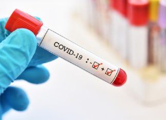 Kozhikode covid Cases