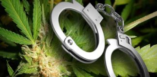 Ganja Arrest In Malappuram