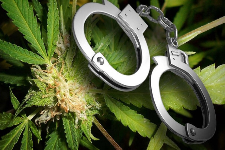 Ganja arrest in Malappuram Ganja Arrest In Malappuram