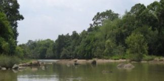 കബനിയിൽ അനധികൃത മണൽക്കൊള്ള; സജീവമായി ഇടനിലക്കാർ kabani sand mining