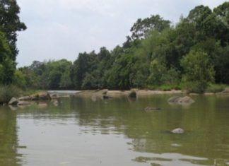 കബനിയിൽ അനധികൃത മണൽക്കൊള്ള; സജീവമായി ഇടനിലക്കാർ kabani sand mining