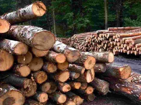 idukki-wood-smuggling