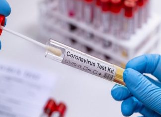 കോവിഡ് പരിശോധന; ജില്ലയിൽ 25 ലക്ഷം കടന്നു Covid test kit