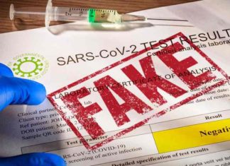 വ്യാജ ആർടിപിസിആർ സർട്ടിഫിക്കറ്റ്; ഇന്റർനെറ്റ് കഫെ ഉടമ അറസ്റ്റിൽ Fake-Certificate