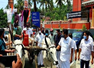 ഇന്ധന വില വർധനവ്; കാളവണ്ടി സമരം നടത്തി യൂത്ത് കോൺഗ്രസ് kalavandi-samaram