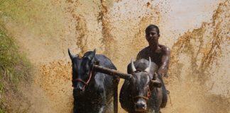 Kalapoottu In Malappuram