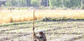 farmers in crisis in wayanad