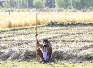 കത്തുന്ന വേനൽ; മഴയില്ലാതെ ദുരിതത്തിലായി കർഷകർ farmers in crisis in wayanad