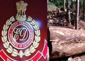 മുട്ടില് മരംമുറി; ഡിഎഫ്ഒ പി രഞ്ജിത്ത് ഇഡിയ്ക്ക് മുന്നിൽ ഹാജരായി muttil-tree-felling