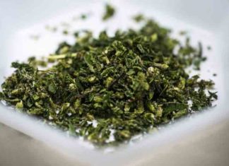 cannabis-seized in palakkad