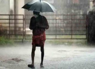 ഞായറാഴ്ച വരെ മഴക്ക് സാധ്യത; ഏഴ് ജില്ലകളിൽ യെല്ലോ അലർട് Rain-in-Kerala