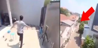 ഡ്രോണിനെ വെല്ലും പ്രകടനം; ഫോണും തട്ടിപ്പറിച്ച് പറന്ന് വീഡിയോ പകർത്തി തത്ത! parrot-viral-video