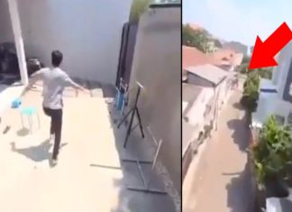 ഡ്രോണിനെ വെല്ലും പ്രകടനം; ഫോണും തട്ടിപ്പറിച്ച് പറന്ന് വീഡിയോ പകർത്തി തത്ത! parrot-viral-video