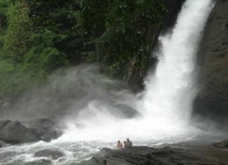 അടച്ചിട്ടതിൽ പ്രതിഷേധം; സൂചിപ്പാറ വെള്ളച്ചാട്ടം തുറന്നു