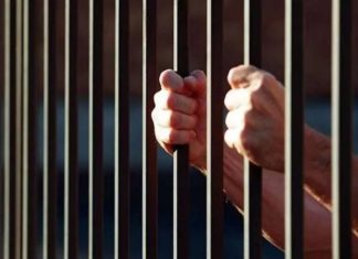 parole period period