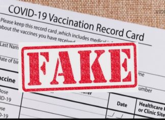 വ്യാജ ആർടിപിസിആർ സർട്ടിഫിക്കറ്റ് നിർമാണം; ഒരാൾ പിടിയിൽ