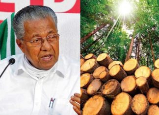മുട്ടിൽ മരംമുറി; സാജന്റെ ഗുരുതര വീഴ്ച മറച്ചുവെച്ച് മുഖ്യമന്ത്രിയുടെ ഓഫിസ്