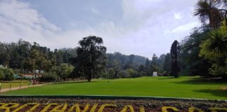 botanical-garden-ooty