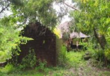 പനയാൽ സ്കൂളിന്റെ നഷ്ടപ്പെട്ട ഭൂമി തിരിച്ചു പിടിക്കാൻ നടപടി പനയാൽ സ്കൂളിന്റെ നഷ്ടപ്പെട്ട ഭൂമി തിരിച്ചു പിടിക്കാൻ നടപടി