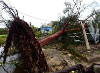 കിഴക്കൻ മെക്സിക്കോയിൽ ആഞ്ഞടിച്ച് ചുഴലിക്കാറ്റ്; 8 മരണം mexico-grace-storm