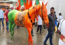 BJP_Horse