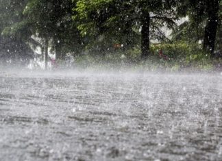 സംസ്ഥാനത്ത് ഓണ ദിവസങ്ങളിൽ കനത്ത മഴ; നാളെ 3 ജില്ലകളിൽ യെല്ലോ അലർട് Heavy Rain Kerala